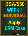 BSA/550 Week 1 Apply: CRM Case